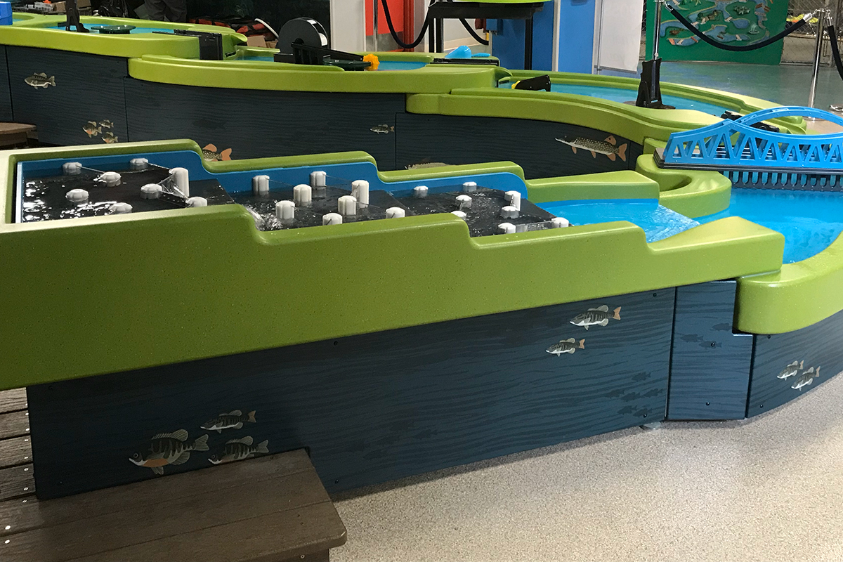 close up of a section of the water table